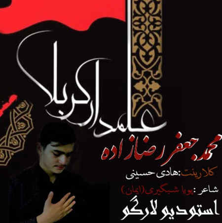 محمدجعفر رضازاده علمدار کربلا